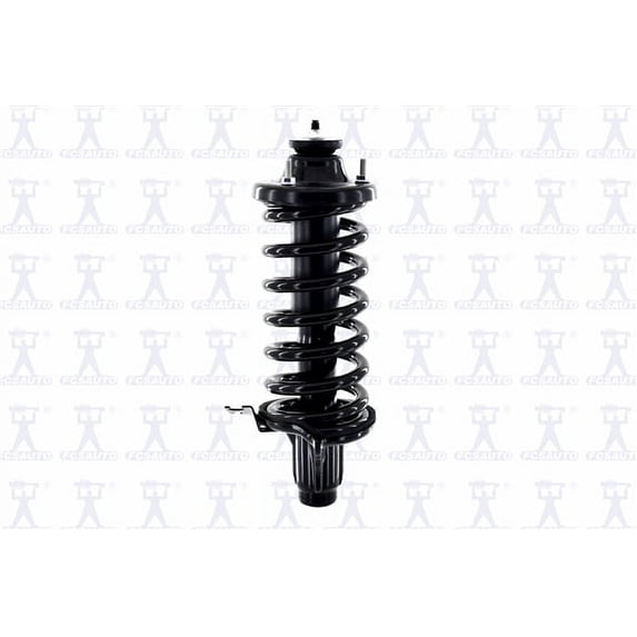Suspension Strut and Coil Spring Assembly