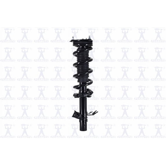 Suspension Strut and Coil Spring Assembly