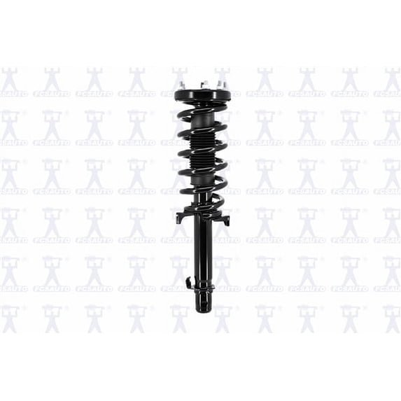 Suspension Strut and Coil Spring Assembly