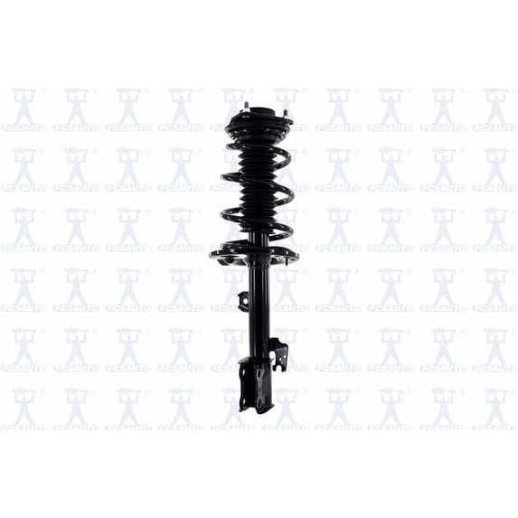 Suspension Strut and Coil Spring Assembly
