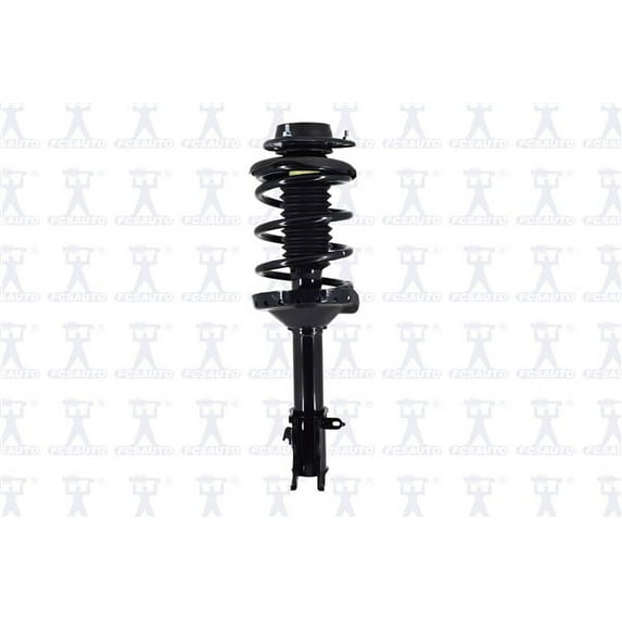 Suspension Strut and Coil Spring Assembly