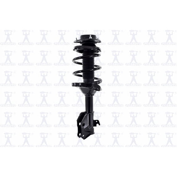 Suspension Strut and Coil Spring Assembly
