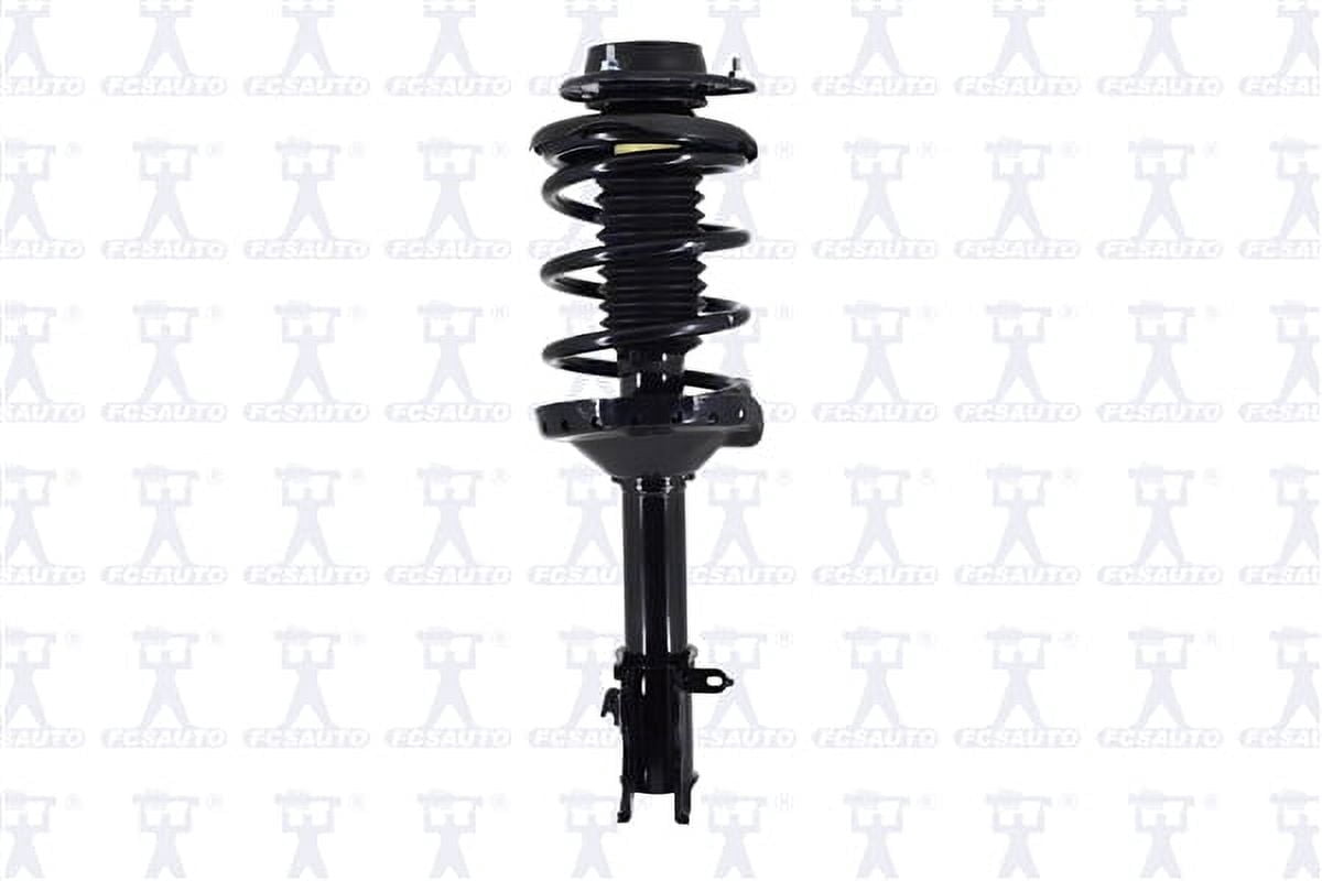 Suspension Strut and Coil Spring Assembly