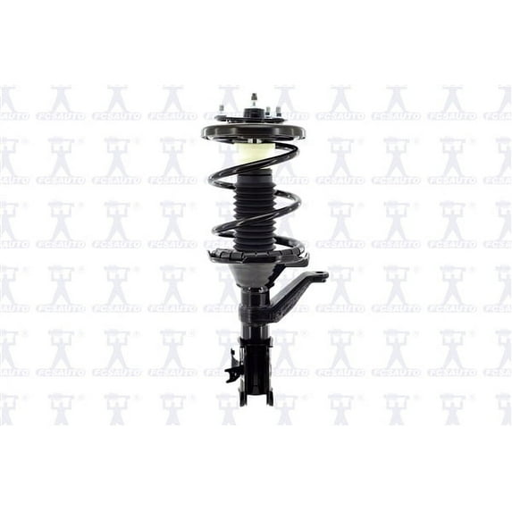 Suspension Strut and Coil Spring Assembly