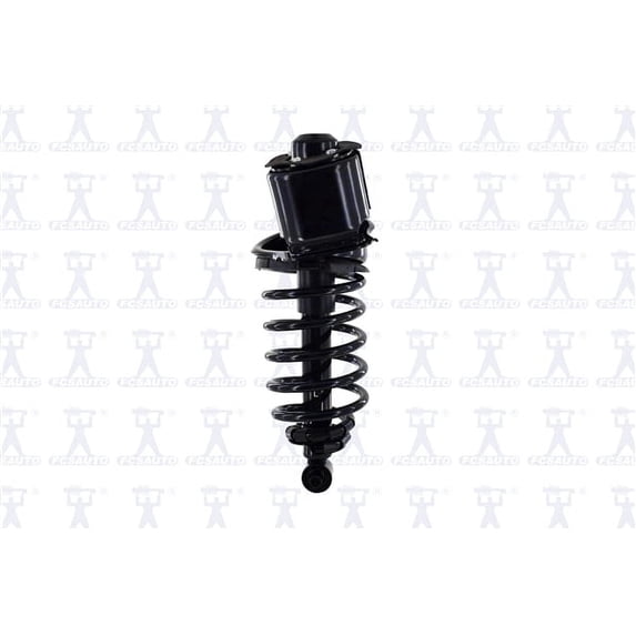 Suspension Strut and Coil Spring Assembly