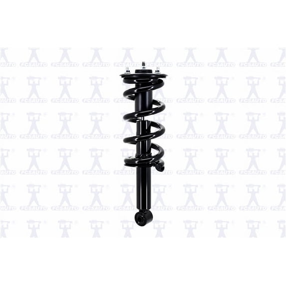 Suspension Strut and Coil Spring Assembly