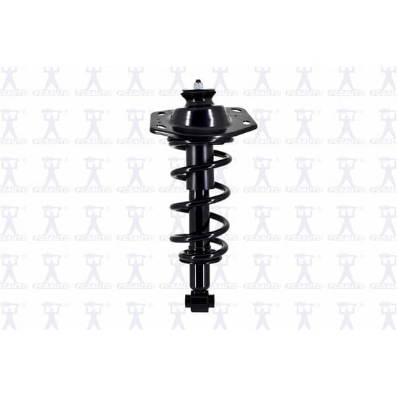 Suspension Strut and Coil Spring Assembly