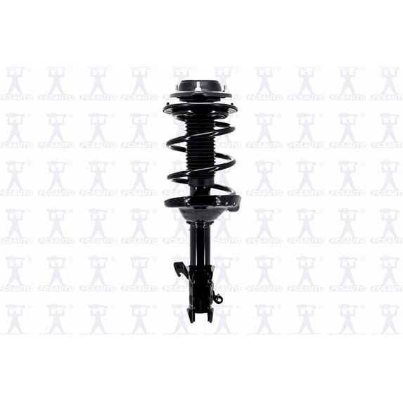 Suspension Strut and Coil Spring Assembly