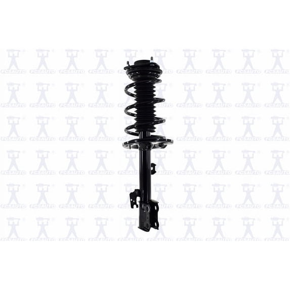 Suspension Strut and Coil Spring Assembly