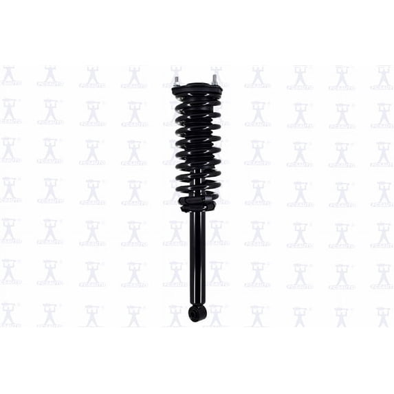 Suspension Strut and Coil Spring Assembly