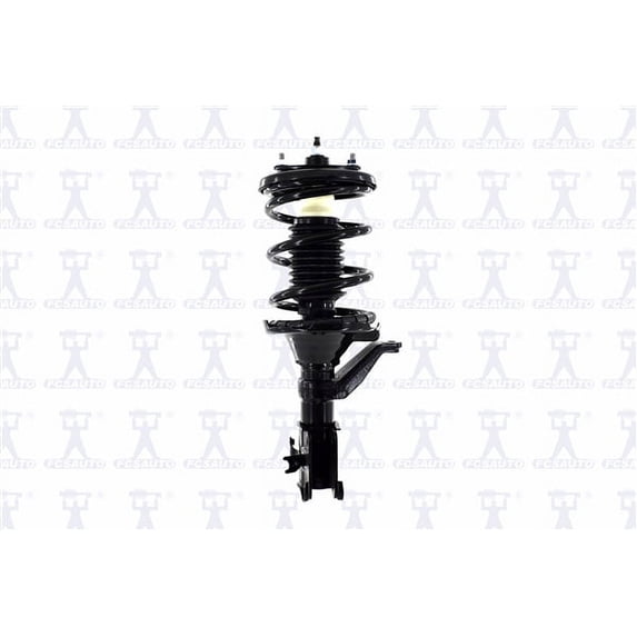 Suspension Strut and Coil Spring Assembly
