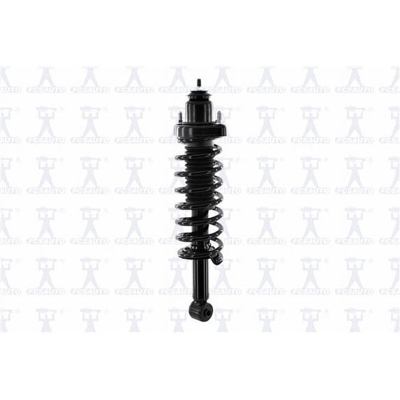 Suspension Strut and Coil Spring Assembly