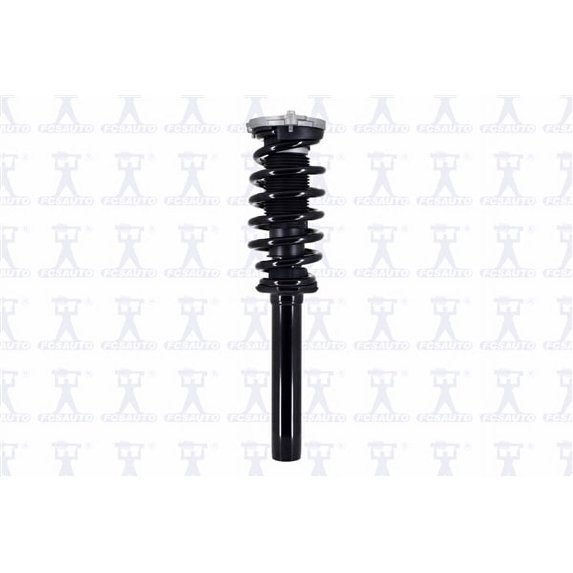 Suspension Strut and Coil Spring Assembly