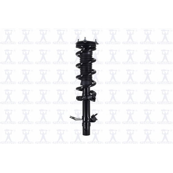 Suspension Strut and Coil Spring Assembly