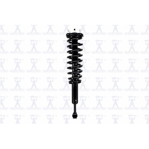 Suspension Strut and Coil Spring Assembly