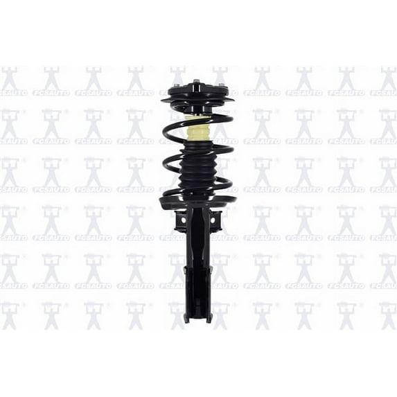 Suspension Strut and Coil Spring Assembly