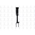 thumbnail image 1 of Suspension Strut and Coil Spring Assembly, 1 of 5