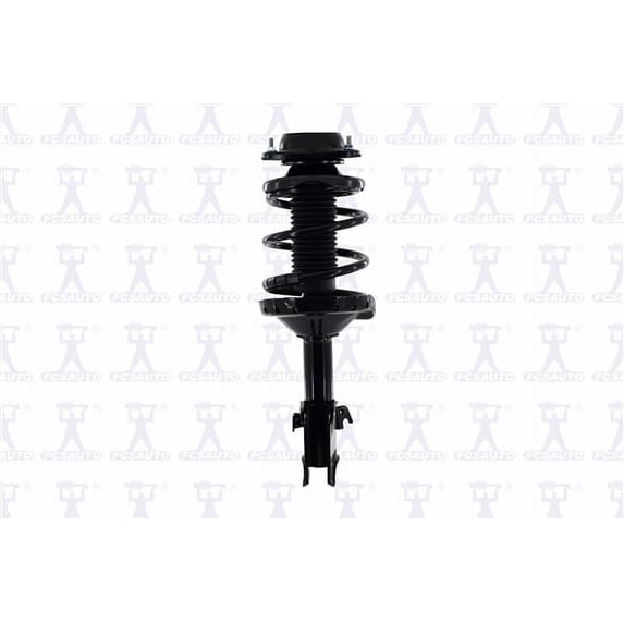 Suspension Strut and Coil Spring Assembly
