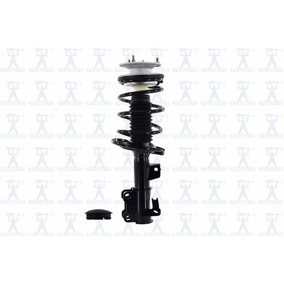 Suspension Strut and Coil Spring Assembly