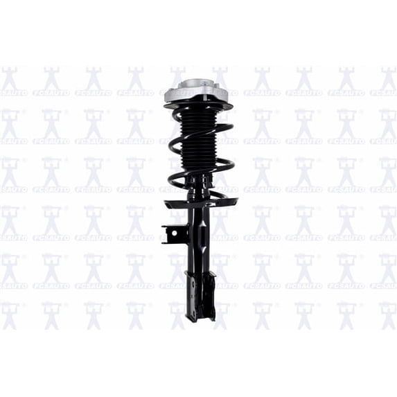 Suspension Strut and Coil Spring Assembly