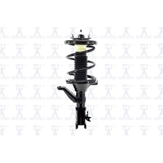 Suspension Strut and Coil Spring Assembly