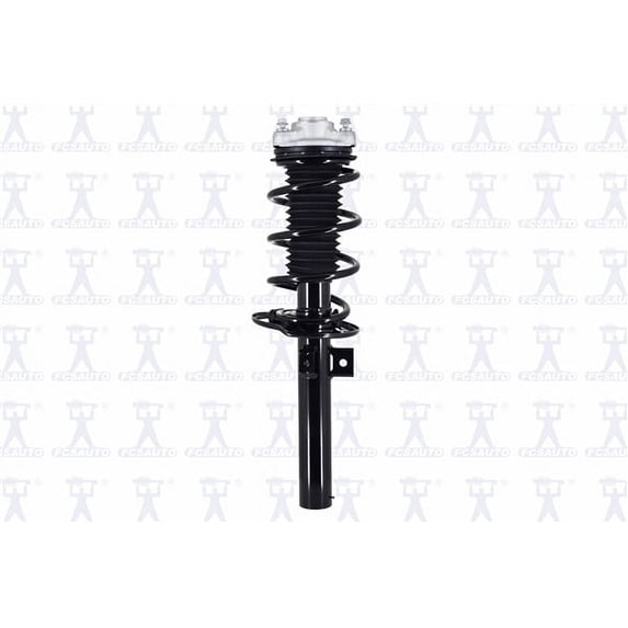 Suspension Strut and Coil Spring Assembly