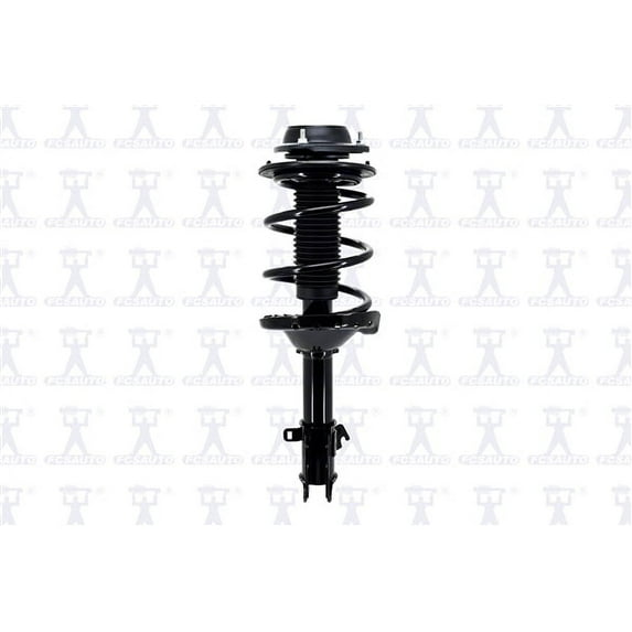 Suspension Strut and Coil Spring Assembly