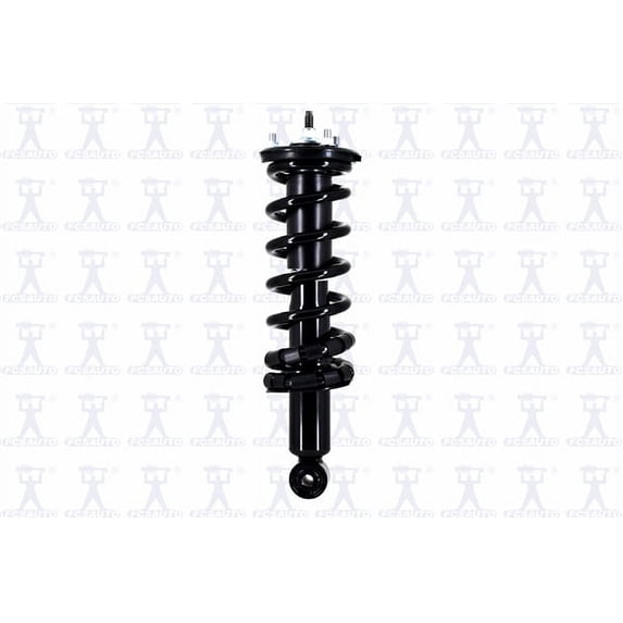 Suspension Strut and Coil Spring Assembly