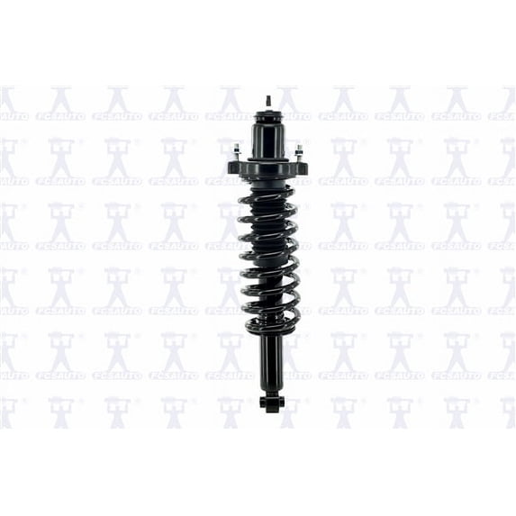 Suspension Strut and Coil Spring Assembly