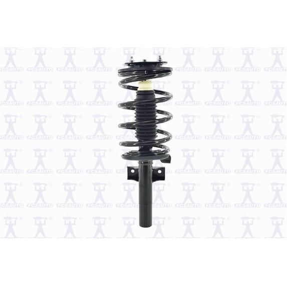 Suspension Strut and Coil Spring Assembly