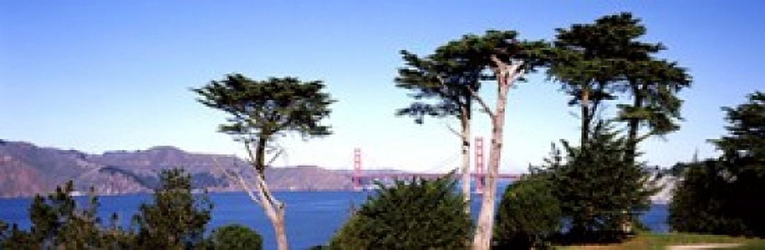 Suspension bridge across a bay Golden Gate Bridge San Francisco Bay San Francisco California USA Canvas Art - Panoramic Images (18 x 6)
