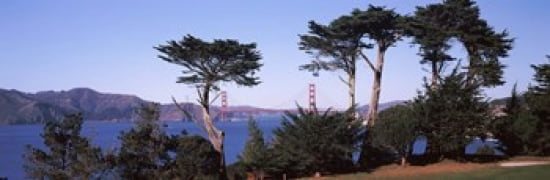 Suspension bridge across a bay Golden Gate Bridge San Francisco Bay San Francisco California USA Canvas Art - Panoramic Images (36 x 12)