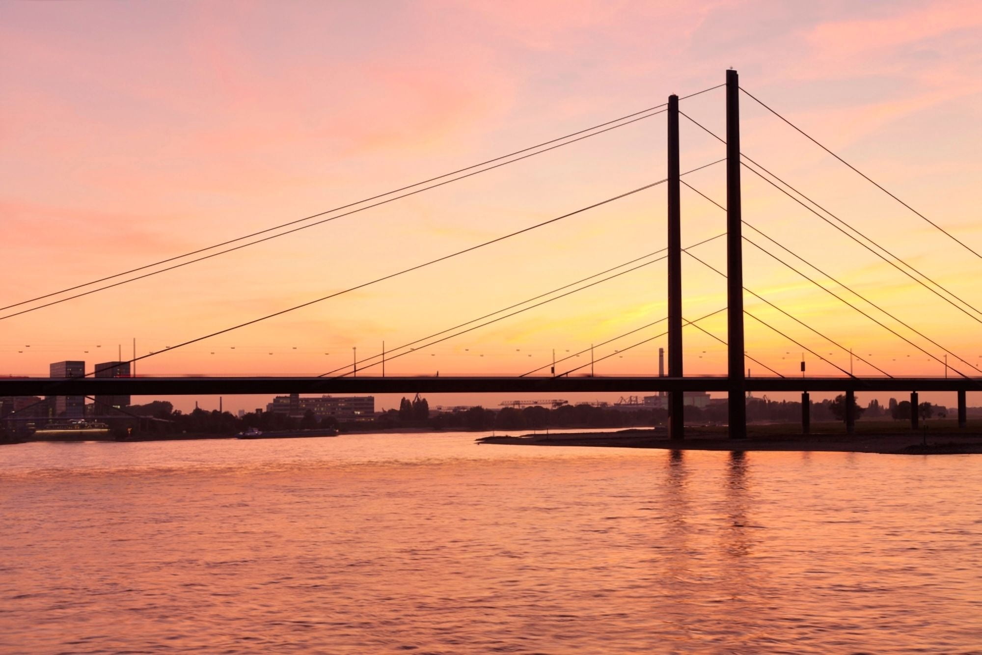 Suspension bridge across a river Rheinkniebrucke Bridge River Rhine Dusseldorf North Rhine Westphalia Germany Canvas Art - Panoramic Images (36 x 12)