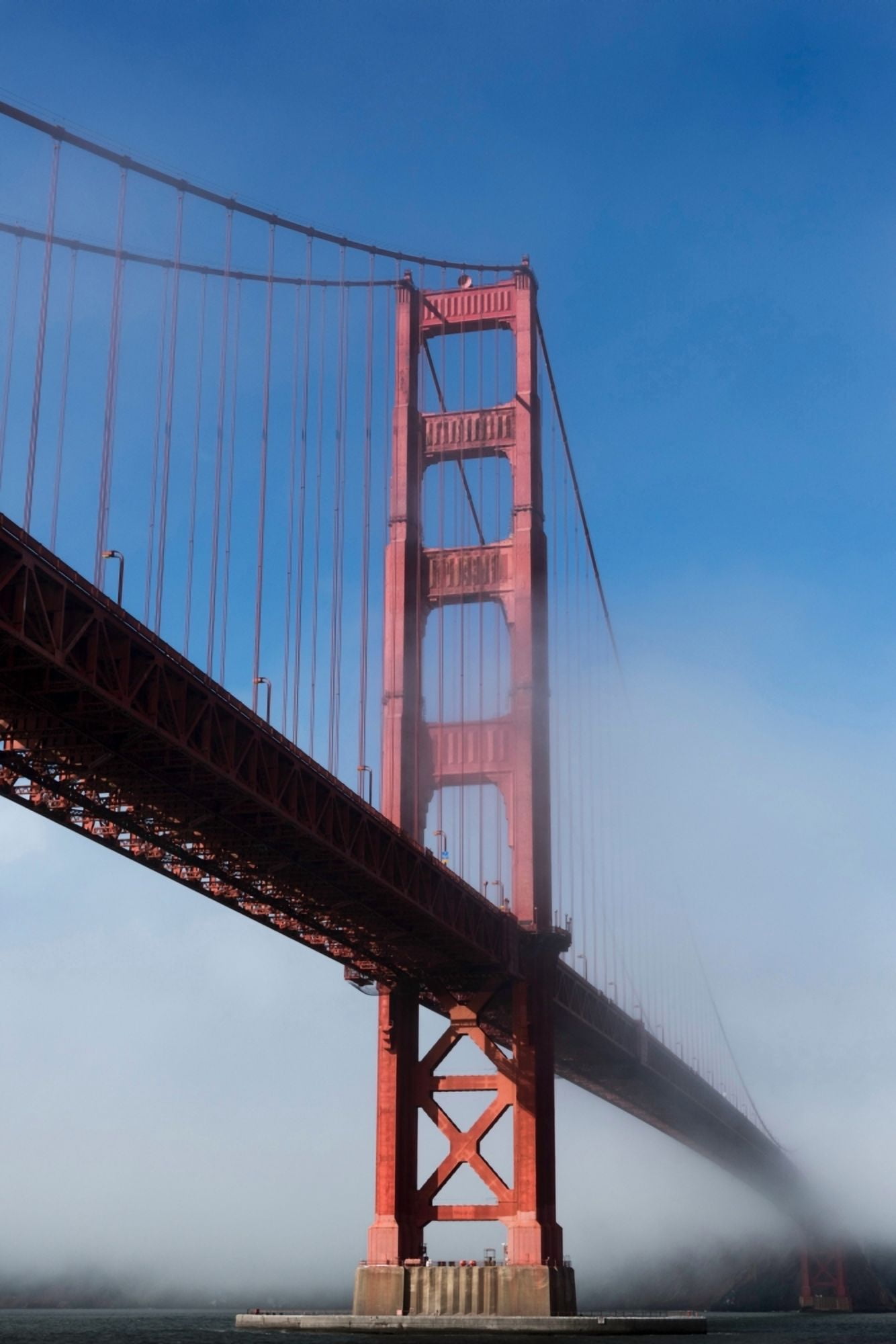 Suspension bridge covered with fog Golden Gate Bridge San Francisco Bay San Francisco California USA Canvas Art - Panoramic Images (18 x 24)