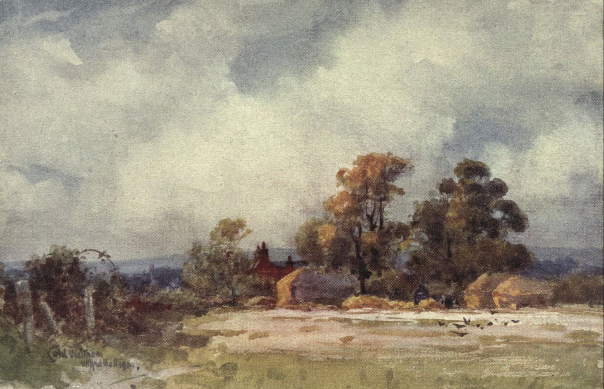 Sussex 1906 Cold Waltham Canvas Art - Wilfrid Ball (18 x 24)