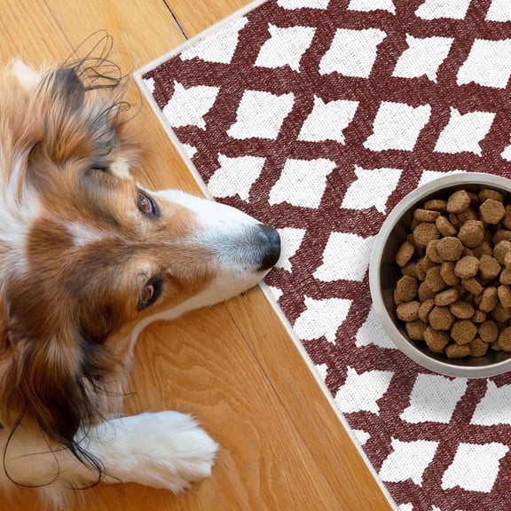 SussexHome Pets Ultra-Thin Cat and Dog Litter Mat for Litter Box - Washable Soft Natural Cotton Cat and Dog Feeding Mat - Paws-Kind Slip Resistant Place Mat - 2' x 3'