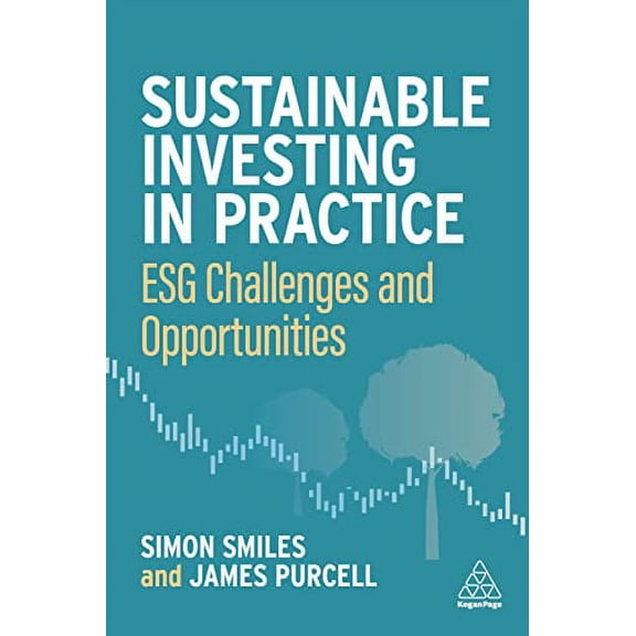 Pre-Owned Sustainable Investing in Practice : ESG Challenges and Opportunities (Paperback) 9781398607903