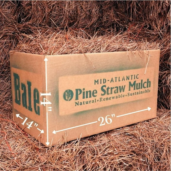 | Sustainable, Long-Lasting, Easy-to-Spread | OMRI Listed Organic | Weed & Mold Spore Free | Pine Needle Mulch for Landscaping & Gardens | Bale Box (26"x14"x14")