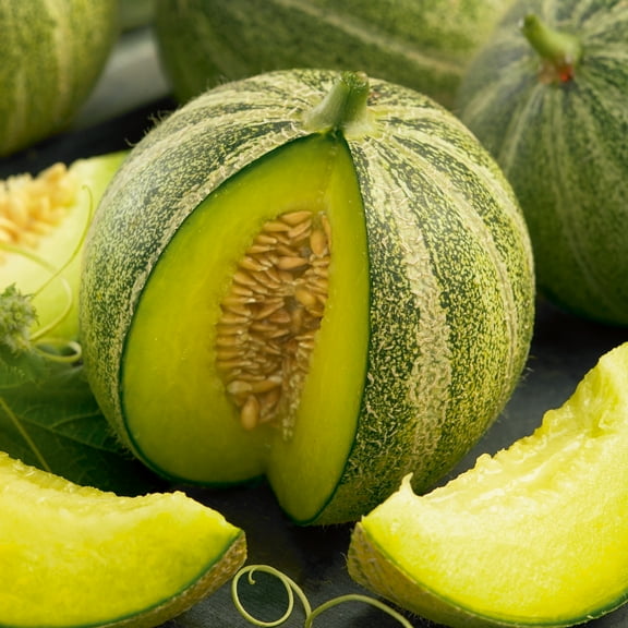 Sustainable Seed Company ~118 Organic Ha'Ogen Melon Seeds