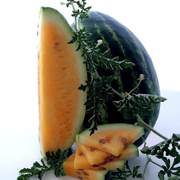 Tendersweet Orange Watermelon Seed - 2 g ~16 Seeds - Heirloom, Open Pollinated, Non-GMO, Farm & Vegetable/Fruit Gardening Seeds