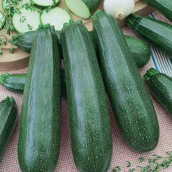 Sustainable Seed Company 35 Emperor's Jade F1 Zucchini Squash Plant Seeds, Non-GMO