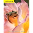 thumbnail image 1 of Pre-Owned Sustaining the Earth: An Integrated Approach [With Infotrac] (Paperback) 0495015970 9780495015970, 1 of 1