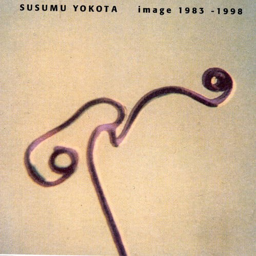Susumu Yokota - Image 1983-1998 - Techno - CD - Walmart.com