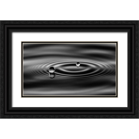 Sutanto, Sugeng 18x12 Black Ornate Wood Framed with Double Matting Museum Art Print Titled - 2 Drops
