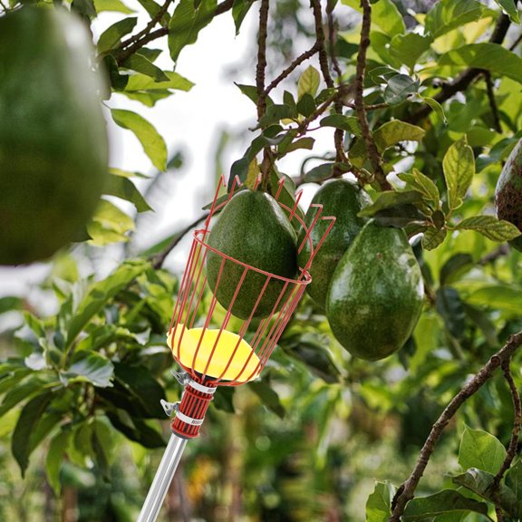 Sutowe Stainless Steel Adjustable Fruit Picker Pole Labor Saving Fruit Picking Pole Tool Large Capacity Orange Picker Basket for Pear