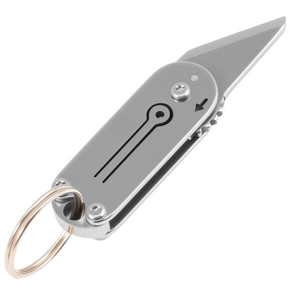 Tcwhniev Stainless Steel Small Keychain Pocket Knife Portable Mini Folding Knife Practical Box Cutter Compact Package Opener for Every Day Carry Silver