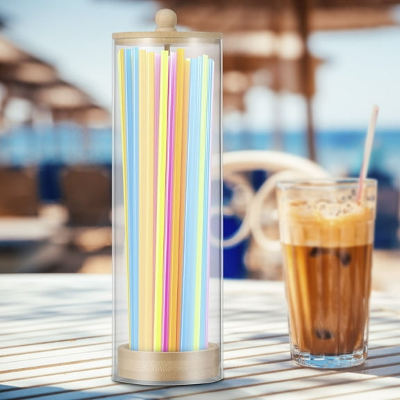 Sutowe Straw Holder Dispenser Versatile Portable Straw Storage Container Practical and Pretty Acrylic Straws Organizer for Fast Food Restaurant