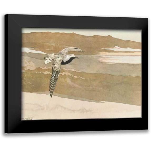 Sutton, George 18x15 Black Modern Framed Museum Art Print Titled - Soaring