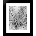 thumbnail image 1 of Suuch Khan. Crimea 20x24 Framed Art Print by Ivan Shishkin, 1 of 2