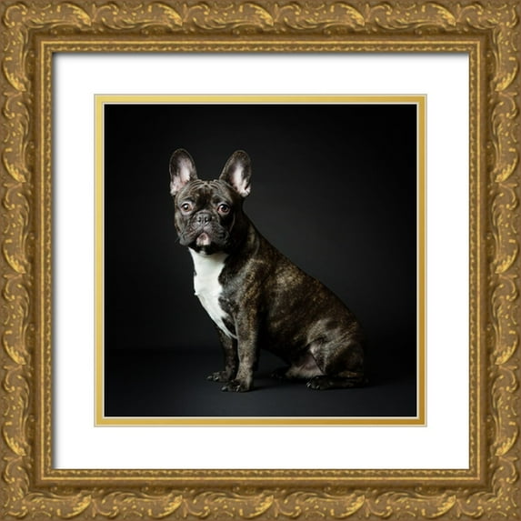 Suykerbuyk, Jurgen 12x12 Gold Ornate Wood Framed with Double Matting Museum Art Print Titled - Max
